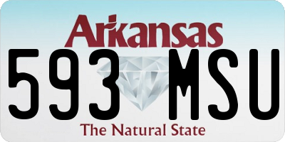 AR license plate 593MSU