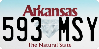 AR license plate 593MSY