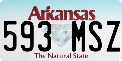 AR license plate 593MSZ