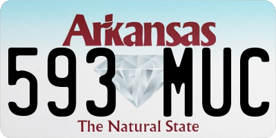 AR license plate 593MUC