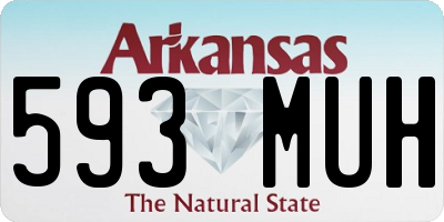 AR license plate 593MUH