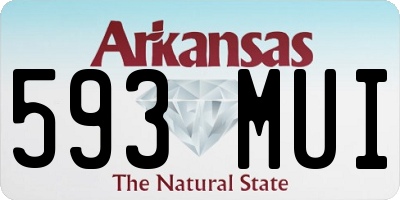 AR license plate 593MUI