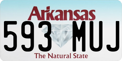 AR license plate 593MUJ