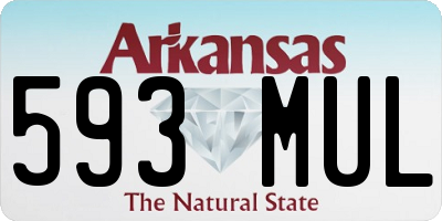 AR license plate 593MUL