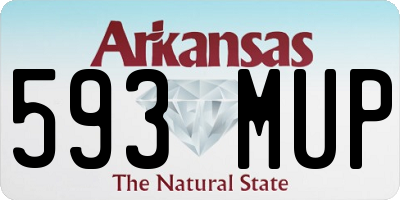 AR license plate 593MUP