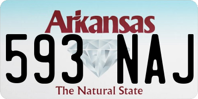AR license plate 593NAJ