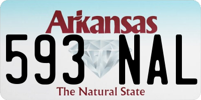 AR license plate 593NAL