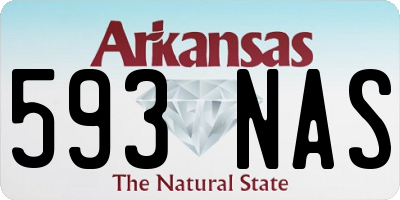 AR license plate 593NAS