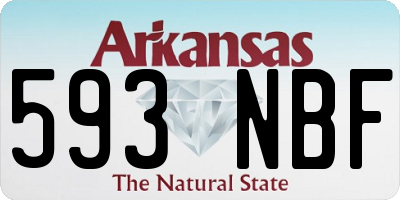 AR license plate 593NBF