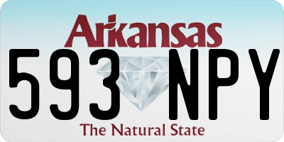 AR license plate 593NPY