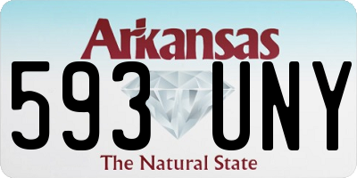AR license plate 593UNY