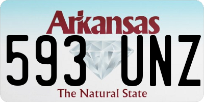 AR license plate 593UNZ