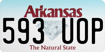 AR license plate 593UOP
