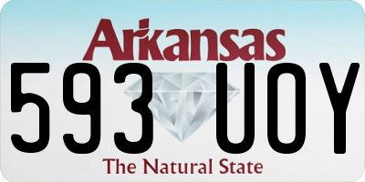 AR license plate 593UOY