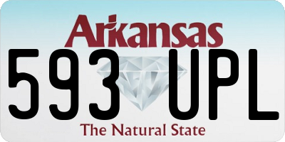 AR license plate 593UPL