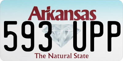 AR license plate 593UPP