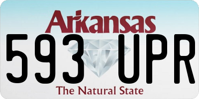 AR license plate 593UPR