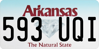 AR license plate 593UQI