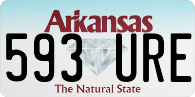 AR license plate 593URE