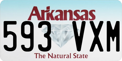 AR license plate 593VXM