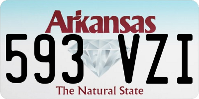 AR license plate 593VZI