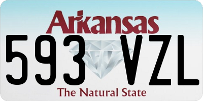 AR license plate 593VZL