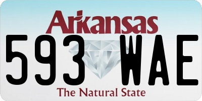 AR license plate 593WAE