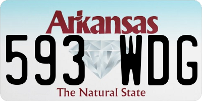 AR license plate 593WDG