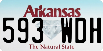 AR license plate 593WDH