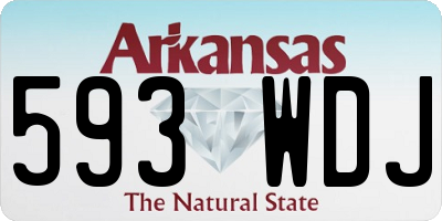 AR license plate 593WDJ