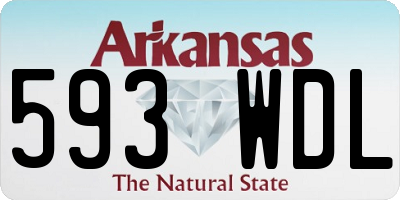 AR license plate 593WDL