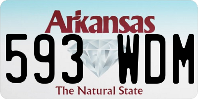 AR license plate 593WDM