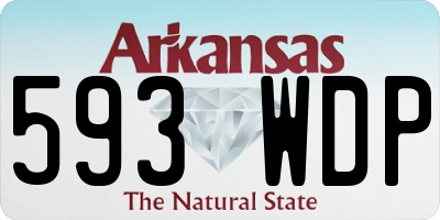 AR license plate 593WDP