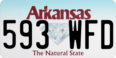 AR license plate 593WFD