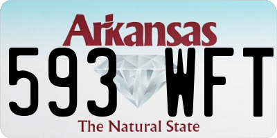 AR license plate 593WFT