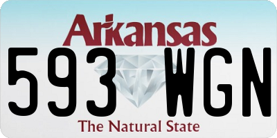 AR license plate 593WGN