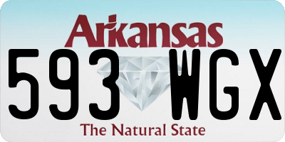 AR license plate 593WGX