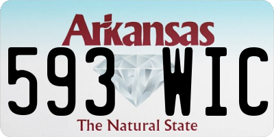 AR license plate 593WIC