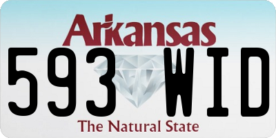 AR license plate 593WID