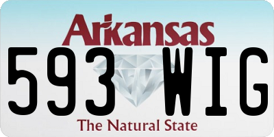 AR license plate 593WIG