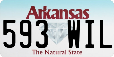 AR license plate 593WIL