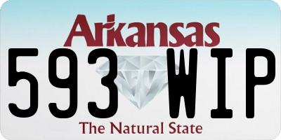 AR license plate 593WIP