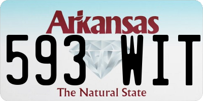 AR license plate 593WIT