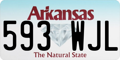 AR license plate 593WJL