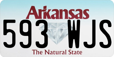 AR license plate 593WJS