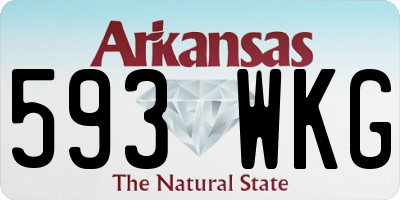 AR license plate 593WKG