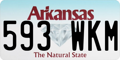 AR license plate 593WKM