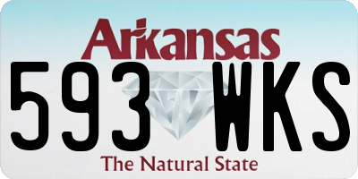 AR license plate 593WKS