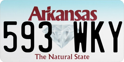 AR license plate 593WKY