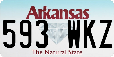 AR license plate 593WKZ